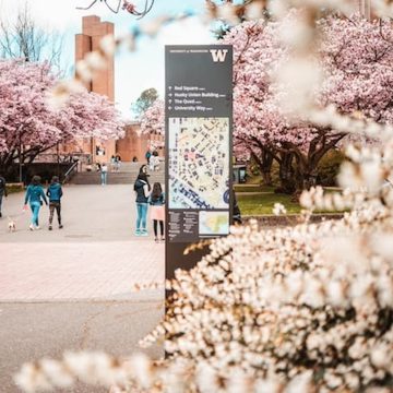 University of Washington Imposes Freeze on Non-Essential Hiring and Travel Amid Financial Concerns