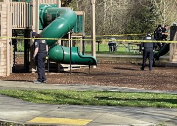 Roxhill Park Shooting Suspect Charged; Stolen Green Cherokee Reported