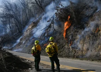 Wildfires Spread Across Carolinas, Prompting Evacuations and Emergency Response