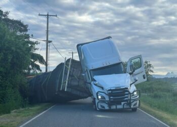 Massive Bee Spill in Washington State: 250 Million Honeybees Released After Truck Accident