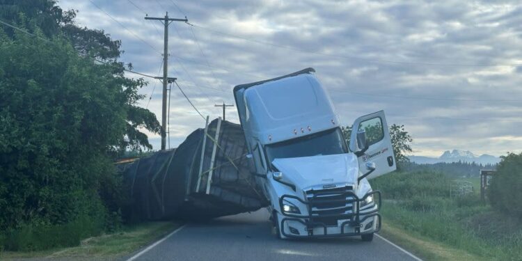 Massive Bee Spill in Washington State: 250 Million Honeybees Released After Truck Accident