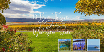 Washington wine country: 10 Best Things to do in Washington