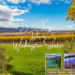 Washington wine country: 10 Best Things to do in Washington