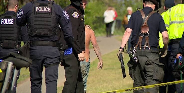 Firefighters Conduct Daring Rope Rescue of Man Stranded on Cliffside Near Seattle’s Magnolia Park