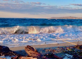 Seattle SDOT Implements New Alki Beach Parking Changes to Improve Safety and Accessibility in Summer 2025