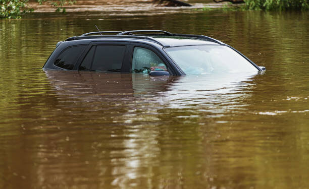 Elderly Couple Tragically Drowns After Car Plunges Into Water Off Herron Island