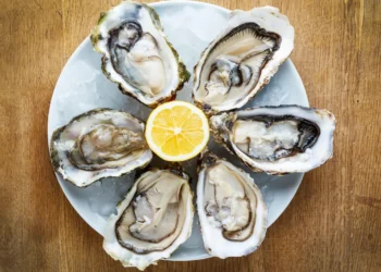 Discover Seattle’s Best Oyster Spots: Your Ultimate Summer Waterfront Guide