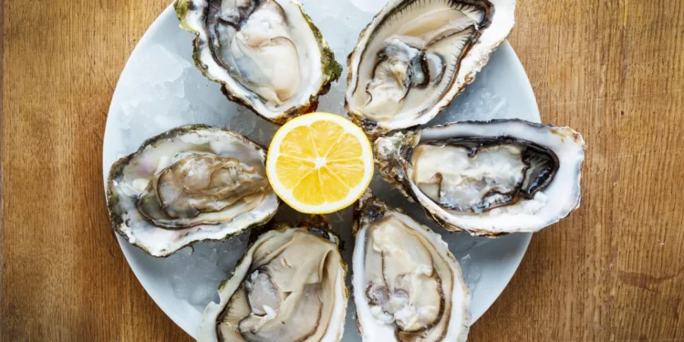 Discover Seattle’s Best Oyster Spots: Your Ultimate Summer Waterfront Guide