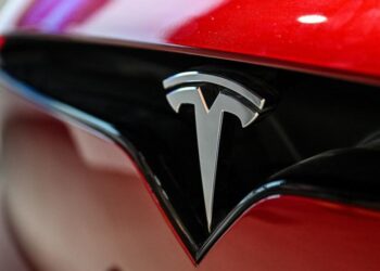 Woman Arrested for Felony Vandalism of Tesla Outside Seattle’s East Precinct