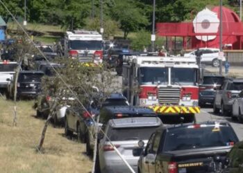 Two Firefighters Killed, One Injured in Suspected Ambush at Idaho Wildfire