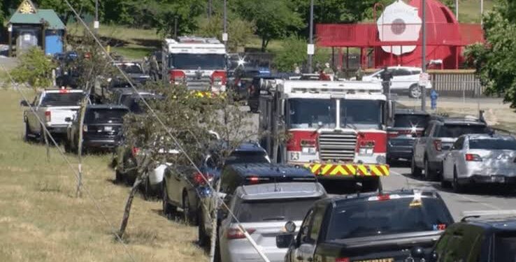 Two Firefighters Killed, One Injured in Suspected Ambush at Idaho Wildfire