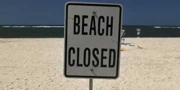 Toxic Shellfish Alert Shuts Down Harvesting on Vashon-Maury Beaches