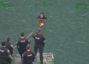 Suspect Jumps into Lake Washington After Allegedly Firing at Seattle Police During Domestic Violence Response