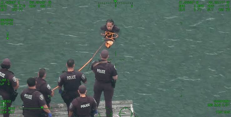 Suspect Jumps into Lake Washington After Allegedly Firing at Seattle Police During Domestic Violence Response
