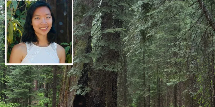 Falling Tree Branch Kills Google Engineer on Yosemite Trail