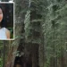Falling Tree Branch Kills Google Engineer on Yosemite Trail