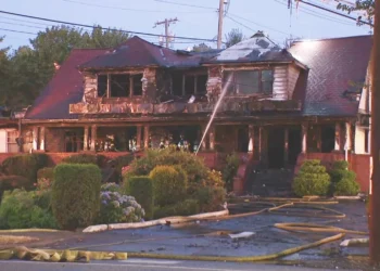 Four Arsons Reported in Mt. Baker and Columbia City Neighborhoods Over Past Week