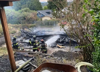 Suspicious 2-Alarm Fire Damages Garage and Home in Beacon Hill