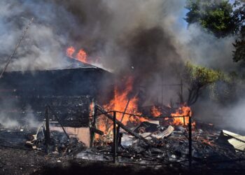 Blaze Originating in Shed Engulfs Seven Structures in Seattle’s Cherry Hill Neighborhood