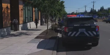 Man Shot During Armed Robbery Near Aurora Avenue in Seattle