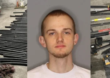 Bellevue, Renton Copper Wire Theft Suspect Charged with 10 Felony Counts
