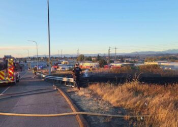 Fatal Everett Crash Leaves One Dead, Injures Woman and Child