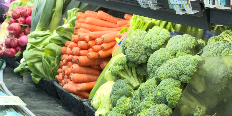 Amazon Brings Fresh Grocery Delivery to Over 1,000 U.S. Cities, Targeting Rapid Growth by Year’s End