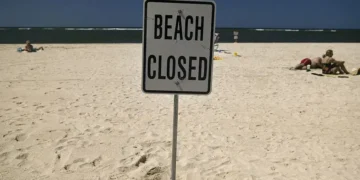 Pierce County beaches closed for shellfish harvesting due to dangerous biotoxin levels