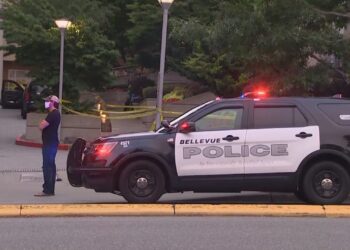 Bellevue Teen Charged with Armed Kidnapping and Robbery of Fellow Student