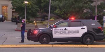 Bellevue Teen Charged with Armed Kidnapping and Robbery of Fellow Student
