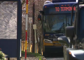 Man Taken Into Custody After Damaging King County Metro Bus in Belltown