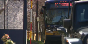 Man Taken Into Custody After Damaging King County Metro Bus in Belltown
