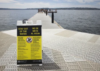Six Seattle-Area Beaches Closed to Swimming Due to High Bacteria Levels