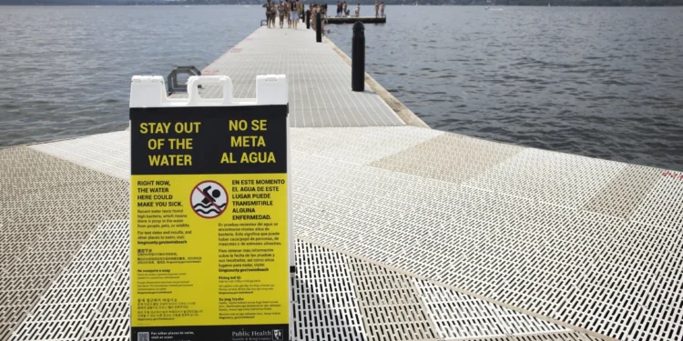 Six Seattle-Area Beaches Closed to Swimming Due to High Bacteria Levels