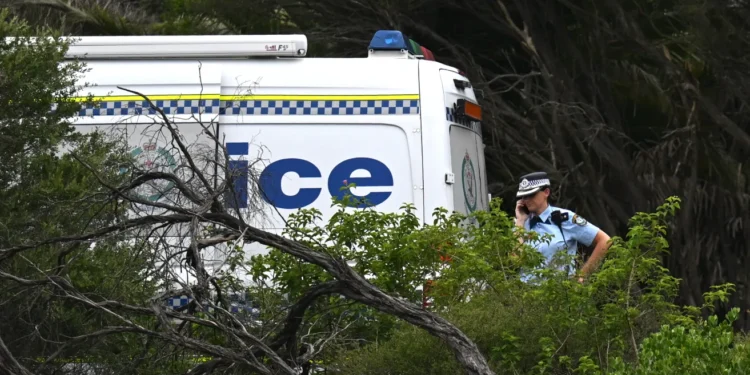 Body Found Near Bellevue College Raises Questions About Campus Safety and Homeless Services