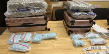 Pierce County fentanyl ring dismantled in sweeping federal gang investigation