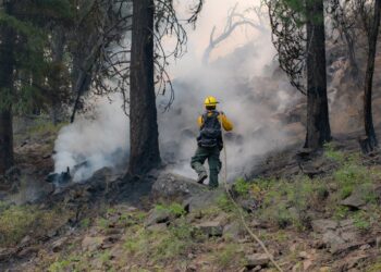 Oregon Wildfire Forces Over 1,000 from Homes as Flames Threaten Nearly 4,000 Structures