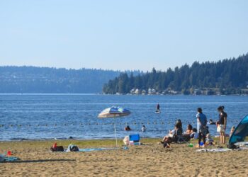 Two Rescued from Lake Sammamish During Weekend Water Emergency Surge