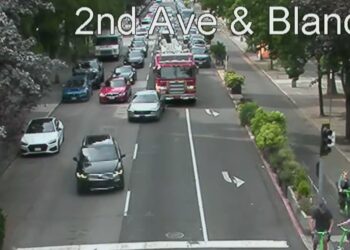 Suspect Who Rammed Seattle Fire Engine After Offering Whippets Taken Into Custody