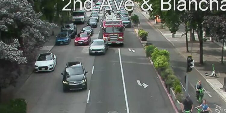 Suspect Who Rammed Seattle Fire Engine After Offering Whippets Taken Into Custody