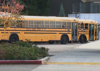 Bellevue School District to Sell Land for $30 Million Amid Budget Struggles