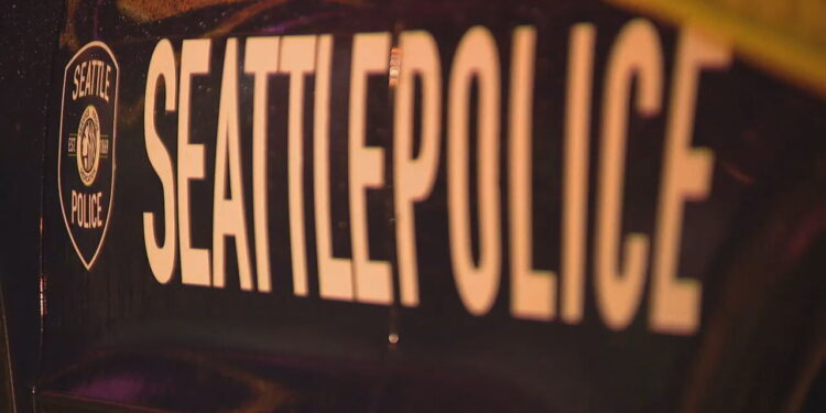 Man Seriously Injured in Green Lake Stabbing, Suspect at Large