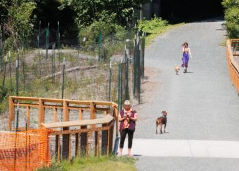 Lynden Man Charged with Rape and Robbery Following Bellingham Park Attack