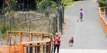 Lynden Man Charged with Rape and Robbery Following Bellingham Park Attack