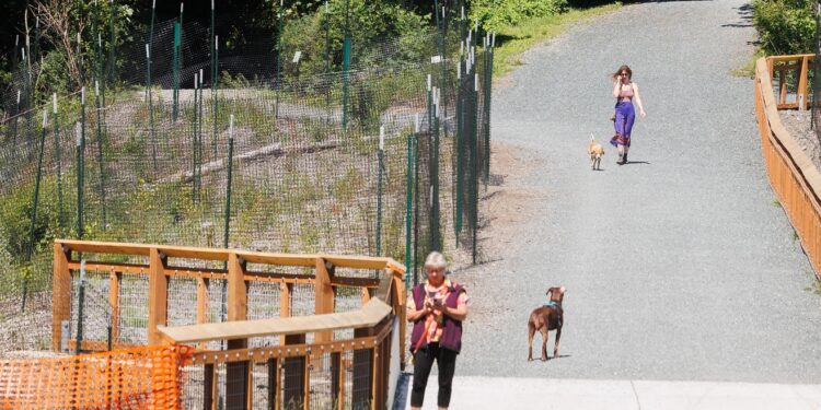 Lynden Man Charged with Rape and Robbery Following Bellingham Park Attack