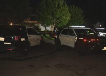 Man Killed in Bellevue SWAT Standoff Identified as 60-Year-Old Resident