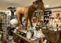 Burglars Hit Ballard’s Ballyhoo Curiosity Shop, Stealing $20,000 in Rare Artifacts