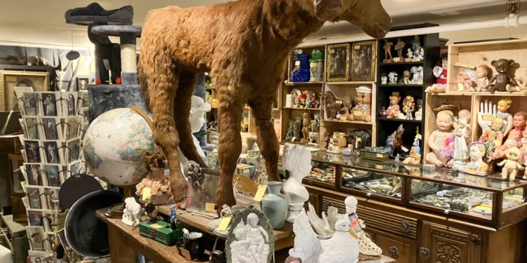 Burglars Hit Ballard’s Ballyhoo Curiosity Shop, Stealing $20,000 in Rare Artifacts