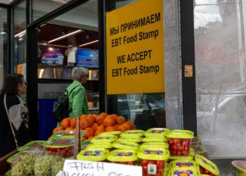 2.4 Million Could Lose Food Stamps Under Expanded Work Rules, CBO Projects