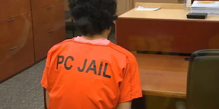 Trial Set to Begin for Man Accused in Point Defiance Park Stabbing